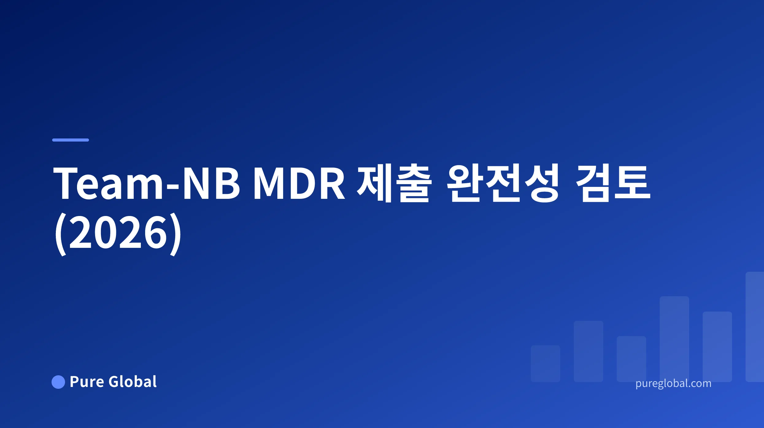Team-NB MDR 제출 완전성 검토 (2026)