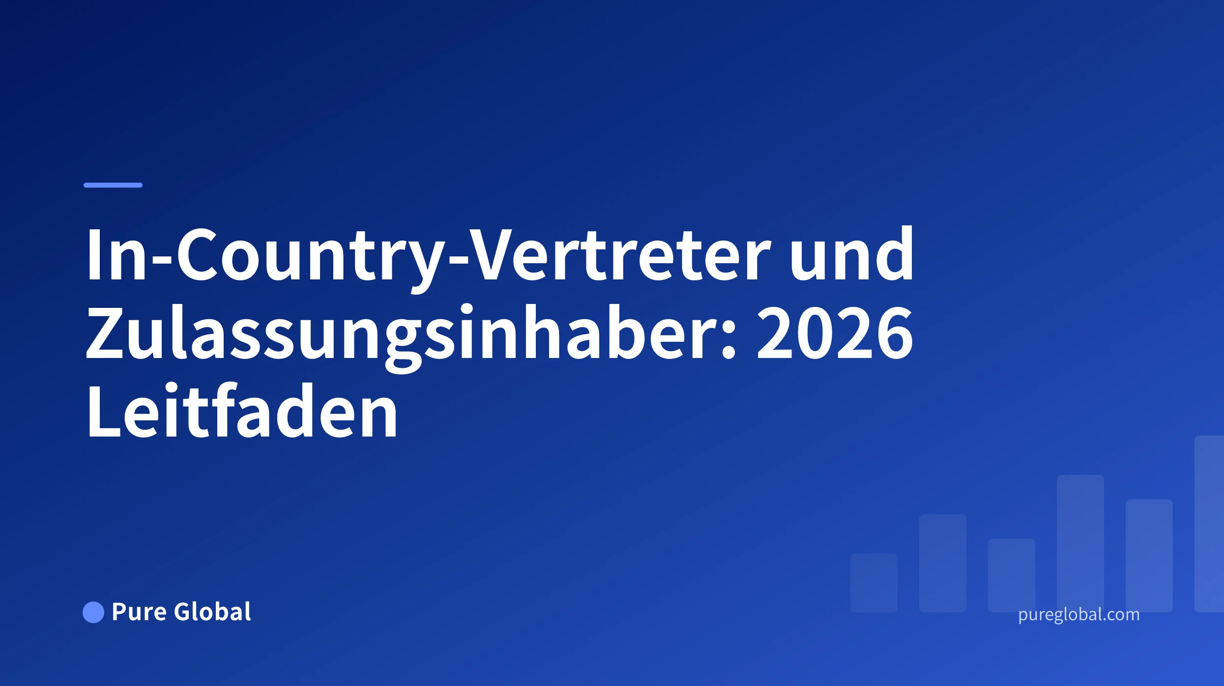 Entscheidungslandkarte für Vertreterbenennungen, Zulassungsinhaberschaft und Übertragungsdokumente in globalen Märkten.